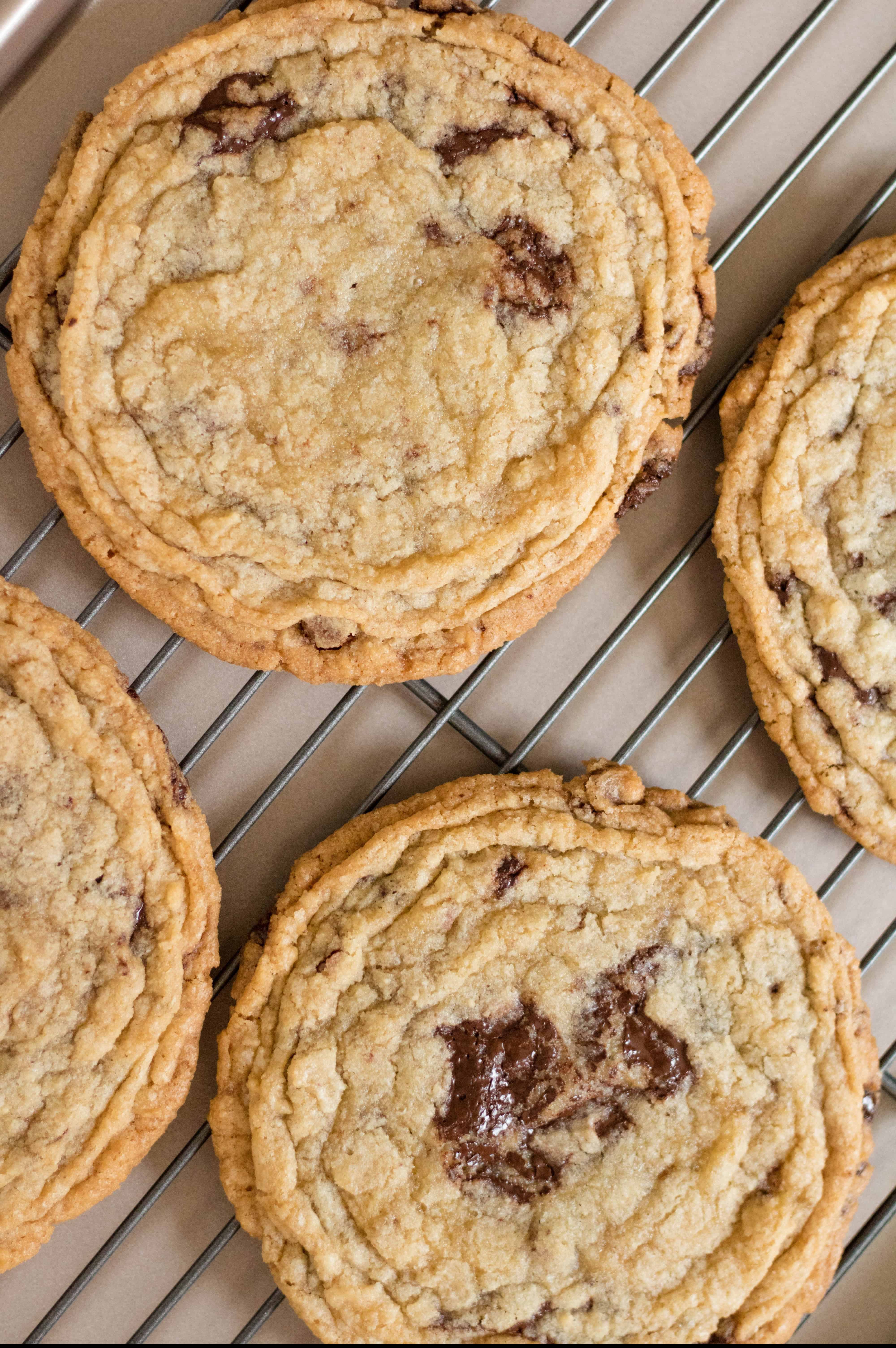 Internet famous chocolate chip cookies