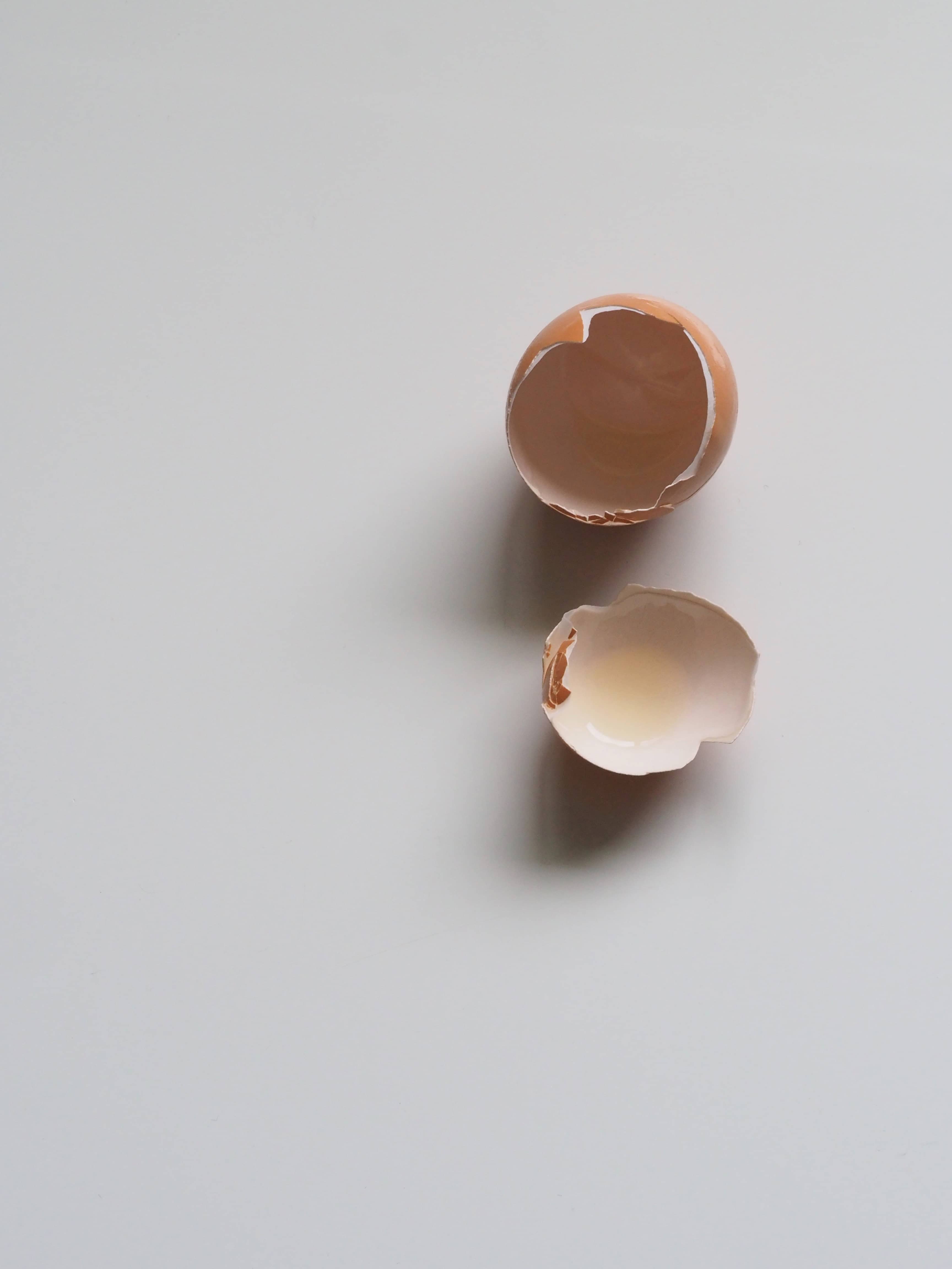 egg-eggshell-empty-929774