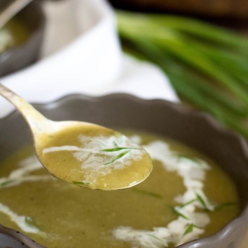 Mexican squash soup