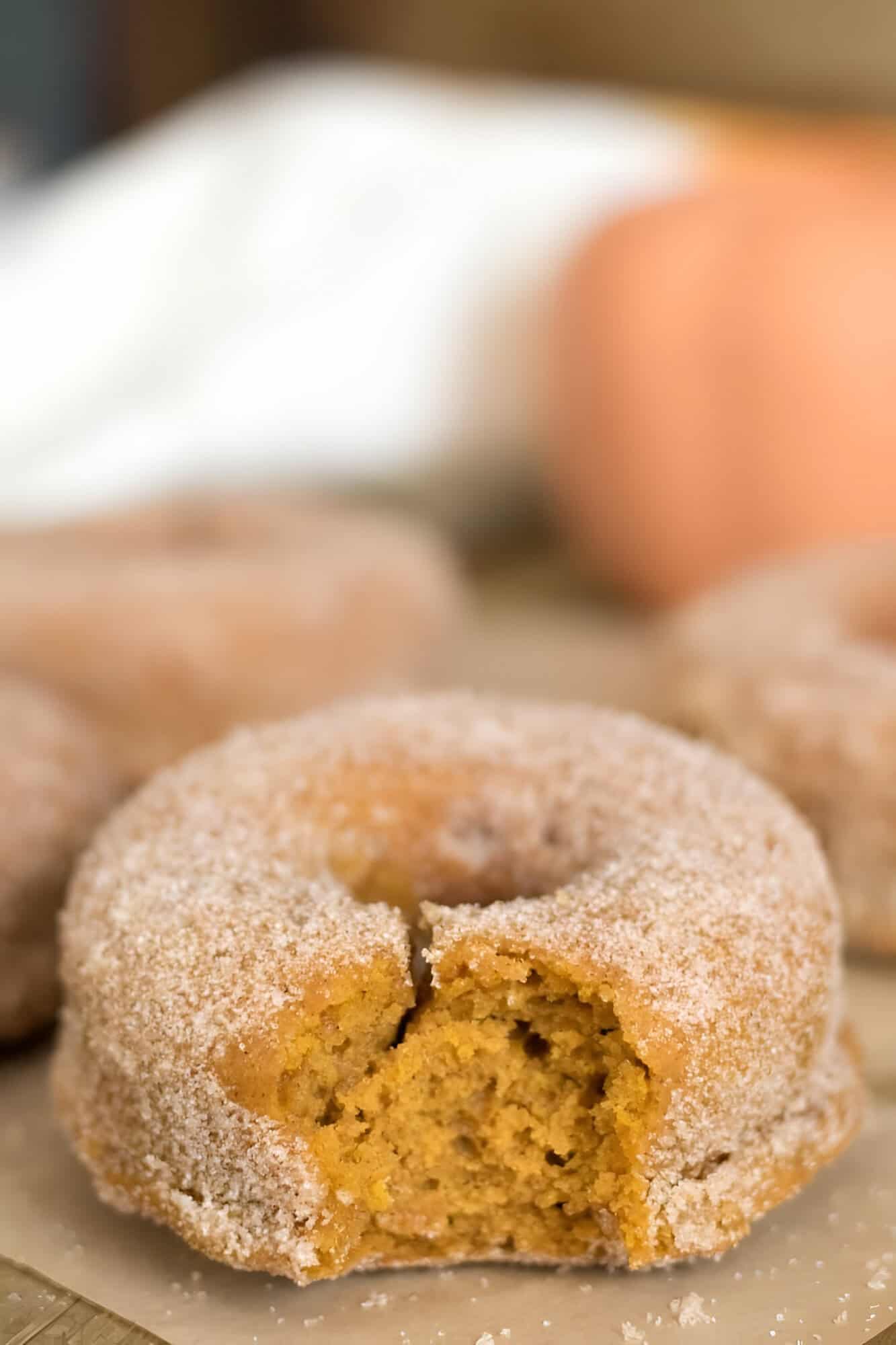 Small batch bakery-size pumpkin donut coated in cinnamon sugar with a bite taken out of it to show texture.