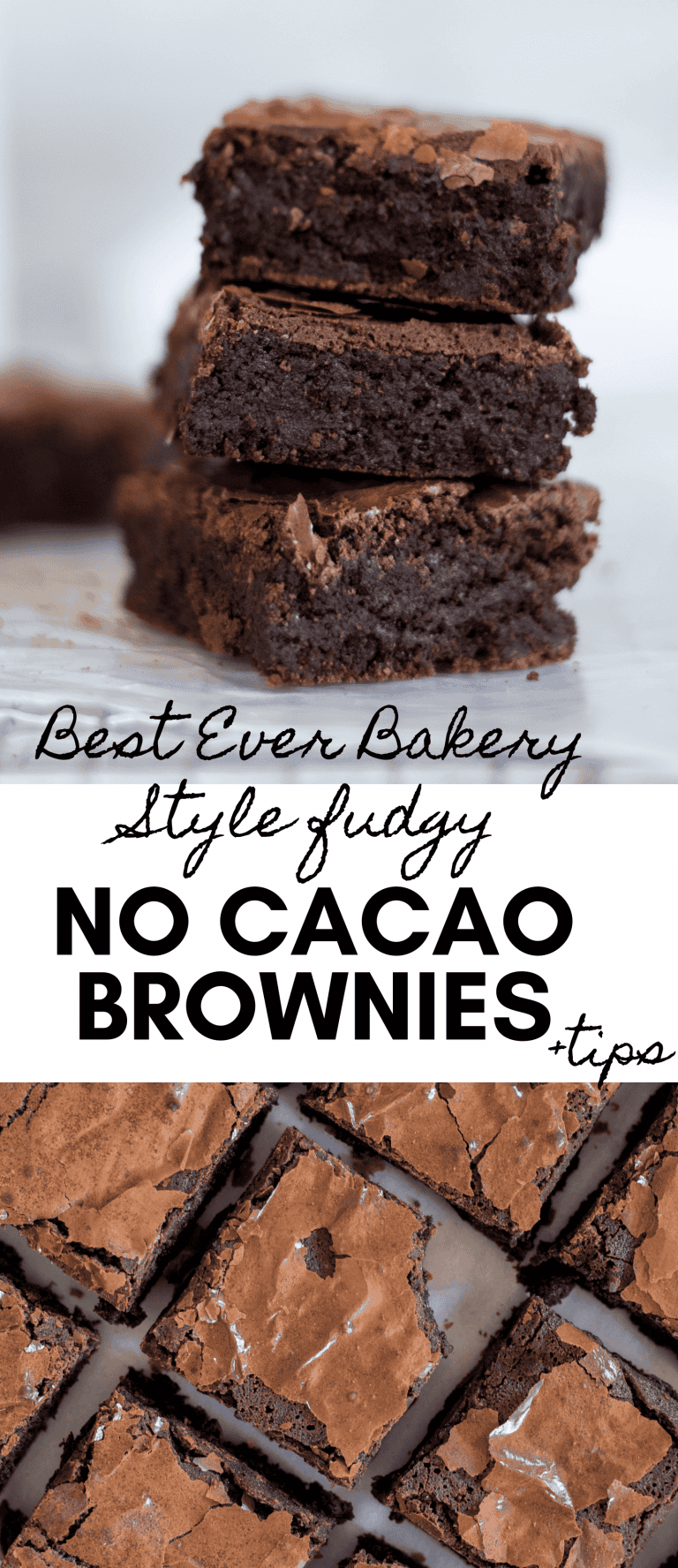 Bakery Style Brownies With no Cocoa Powder+VIDEO+TIPS Lifestyle of a
