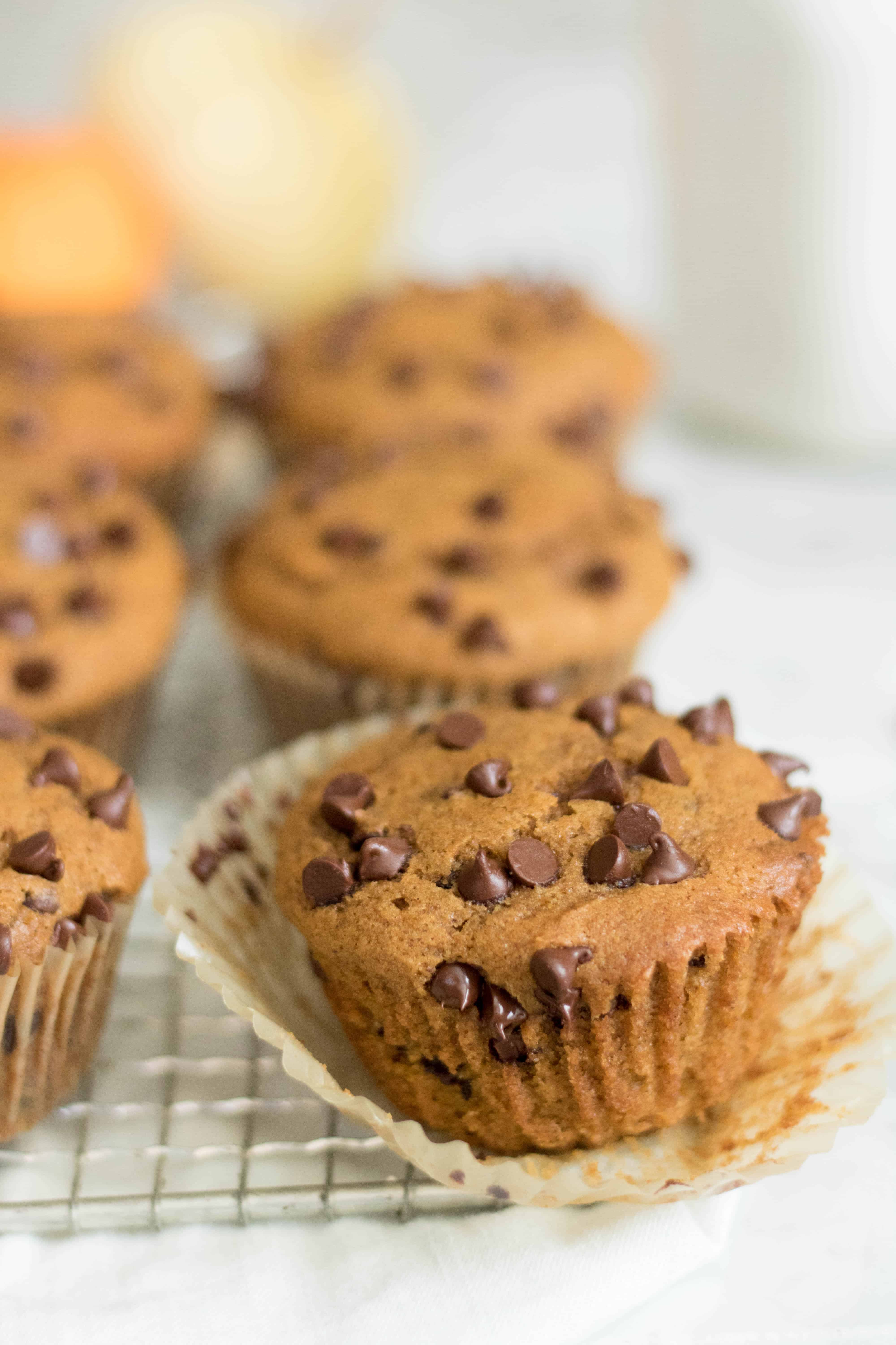 Chocolate chip pumpkin muffins