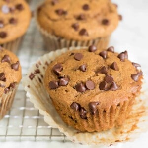 Chocolate Chip pumpkin muffins