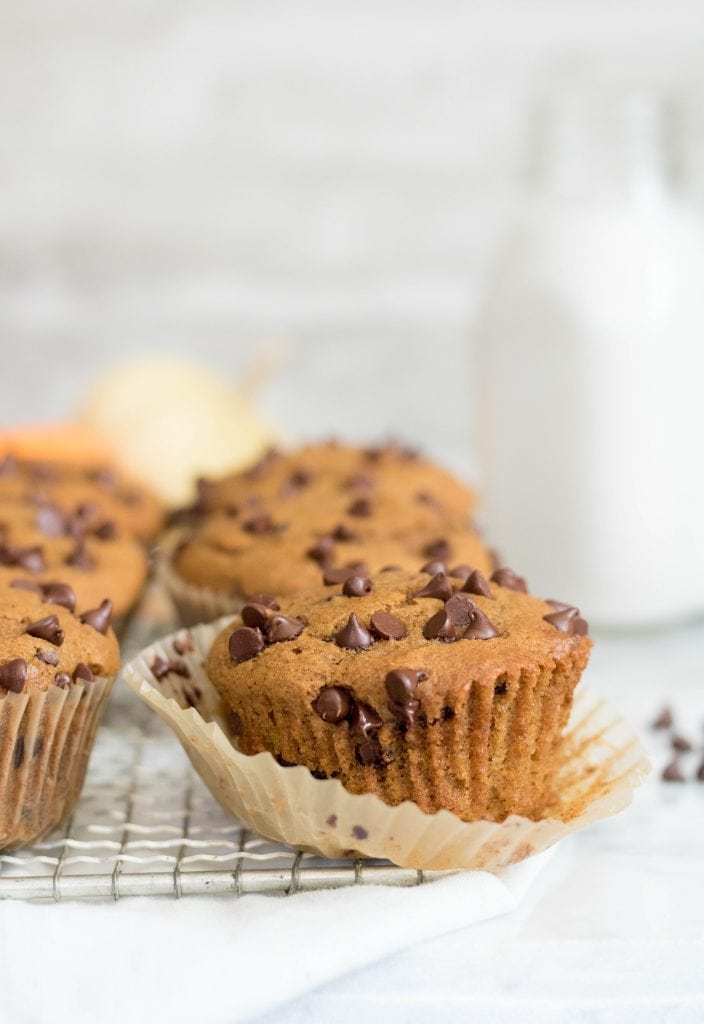 Chocolate chip pumpkin muffin close up with a bottle of milk in the background