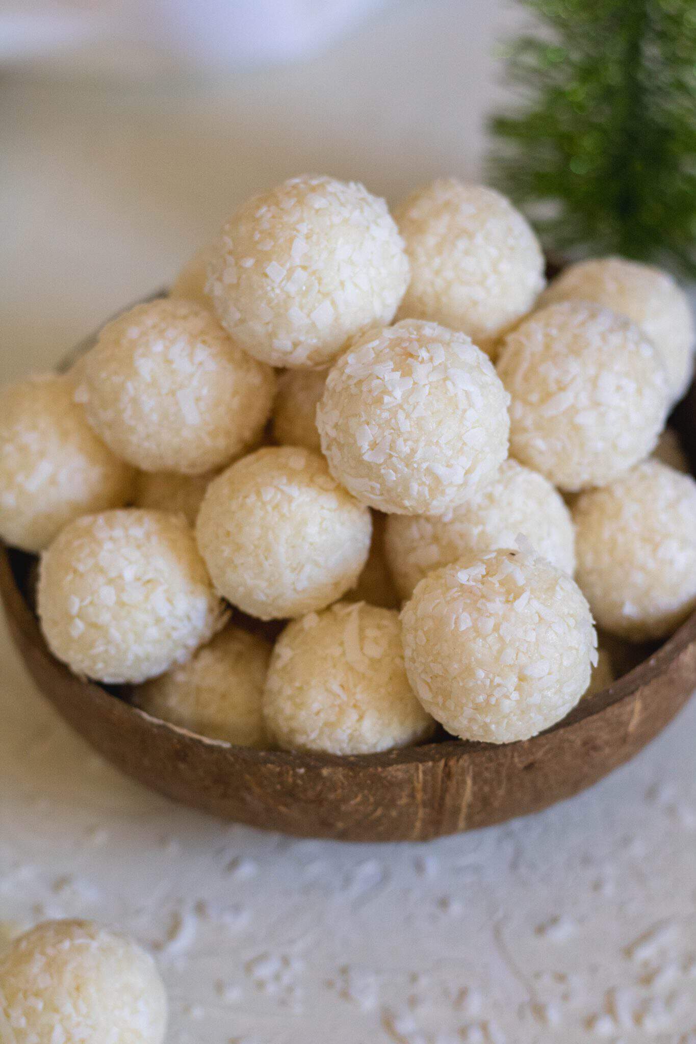 2Ingredient No bake Coconut Balls Lifestyle of a Foodie