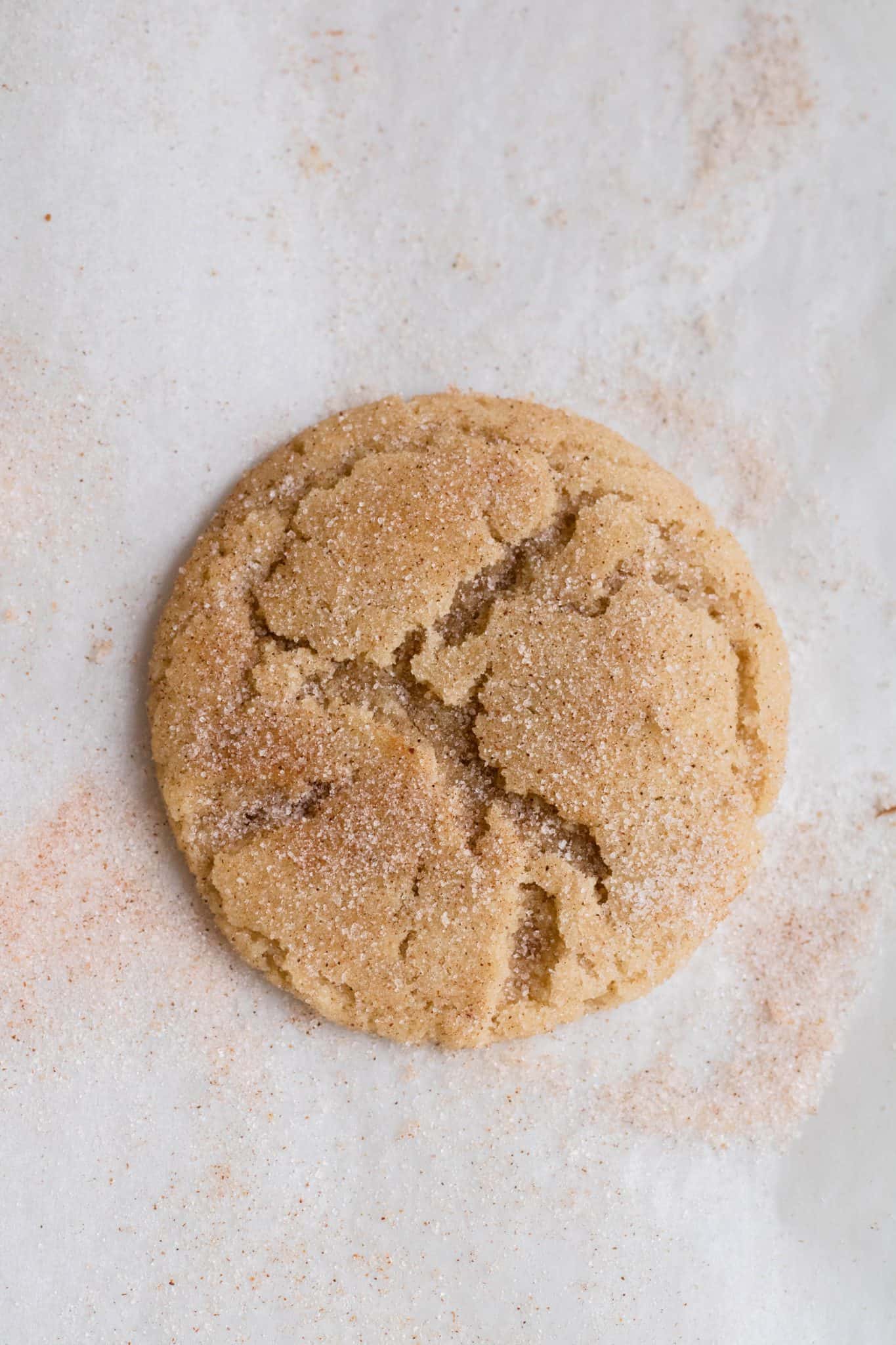 The Best Small Batch Snickerdoodle Cookies Lifestyle of a Foodie