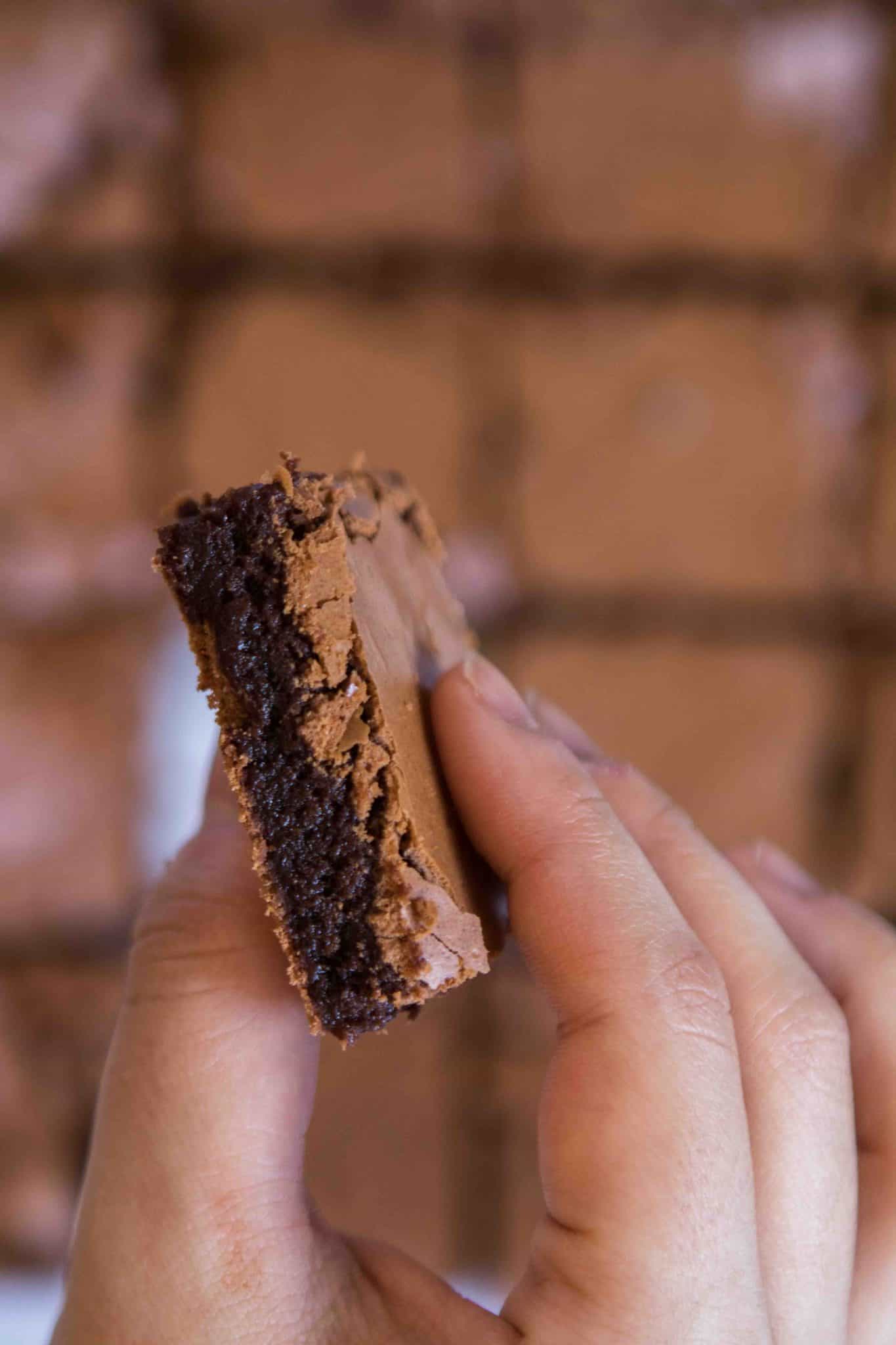 Bakery Style Brownies With no Cocoa Powder+VIDEO+TIPS Lifestyle of a