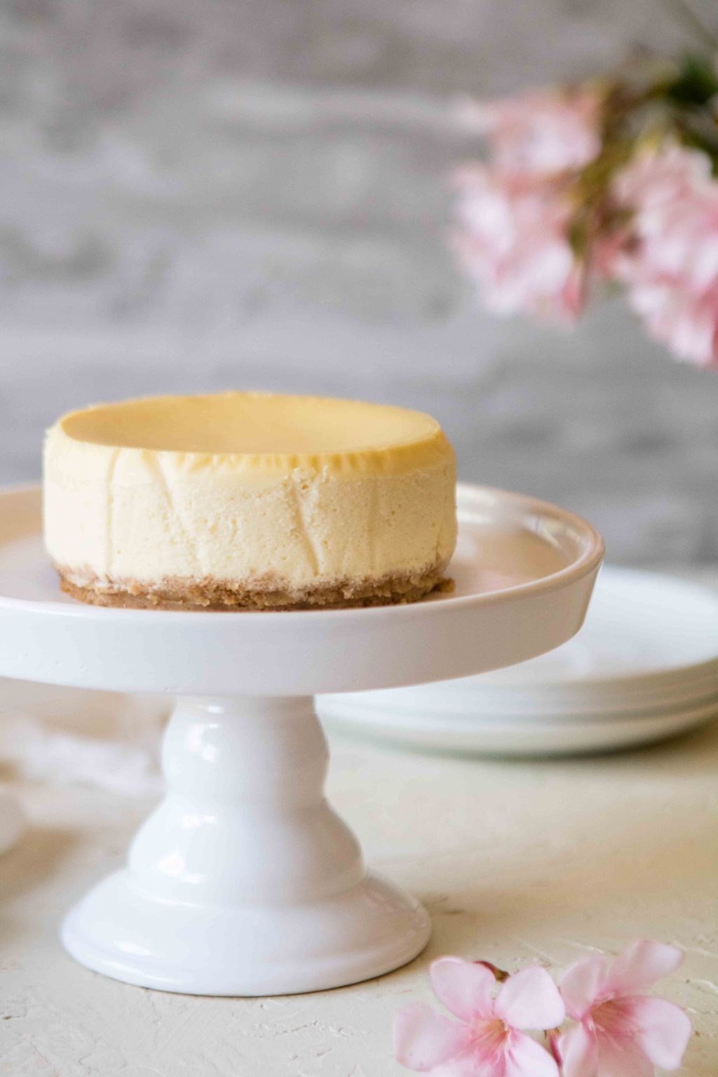 Mini Cheesecake recipe for one/two - Lifestyle of a Foodie