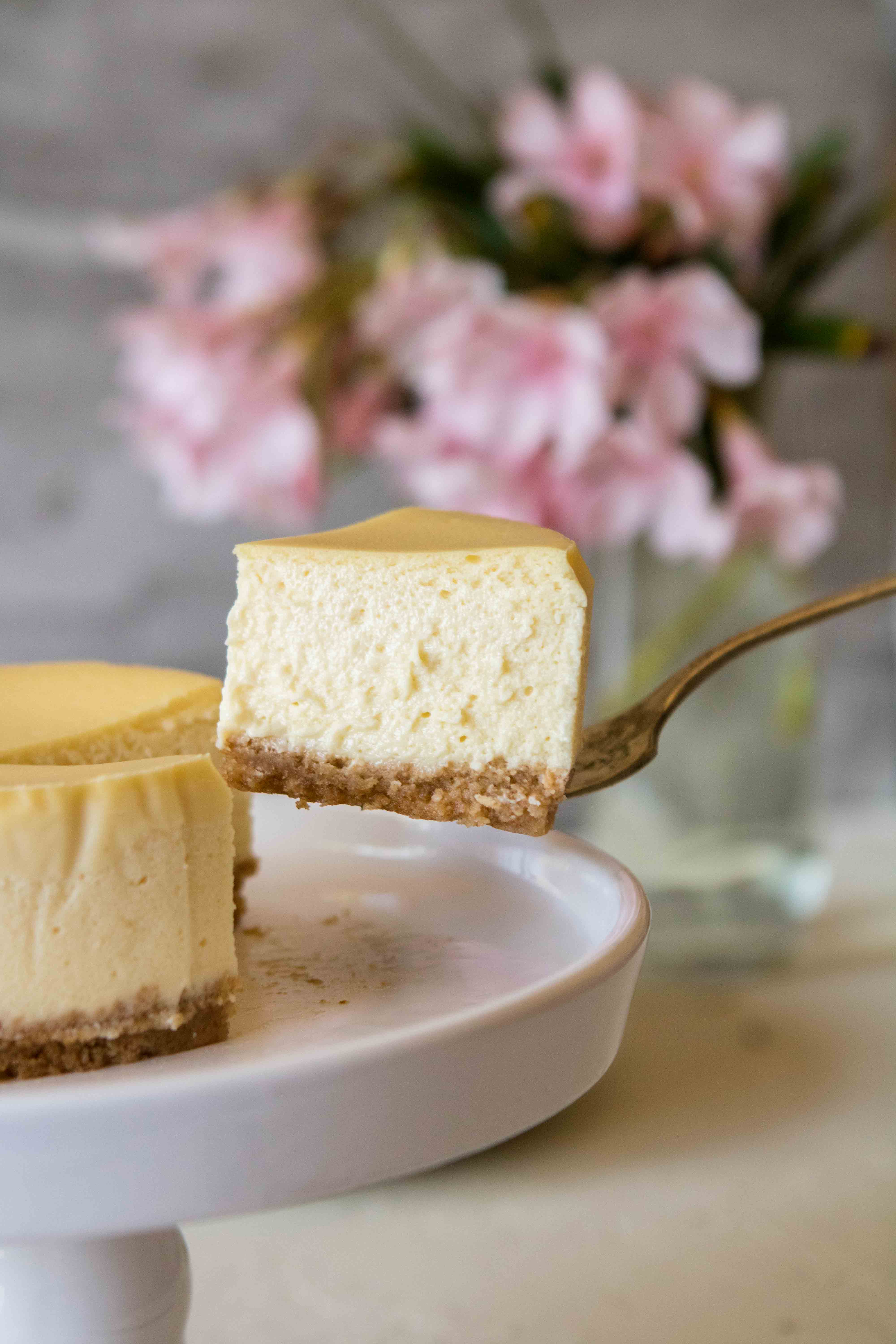 Easy 4-inch mini cheesecake recipe for one/two - Lifestyle of a Foodie