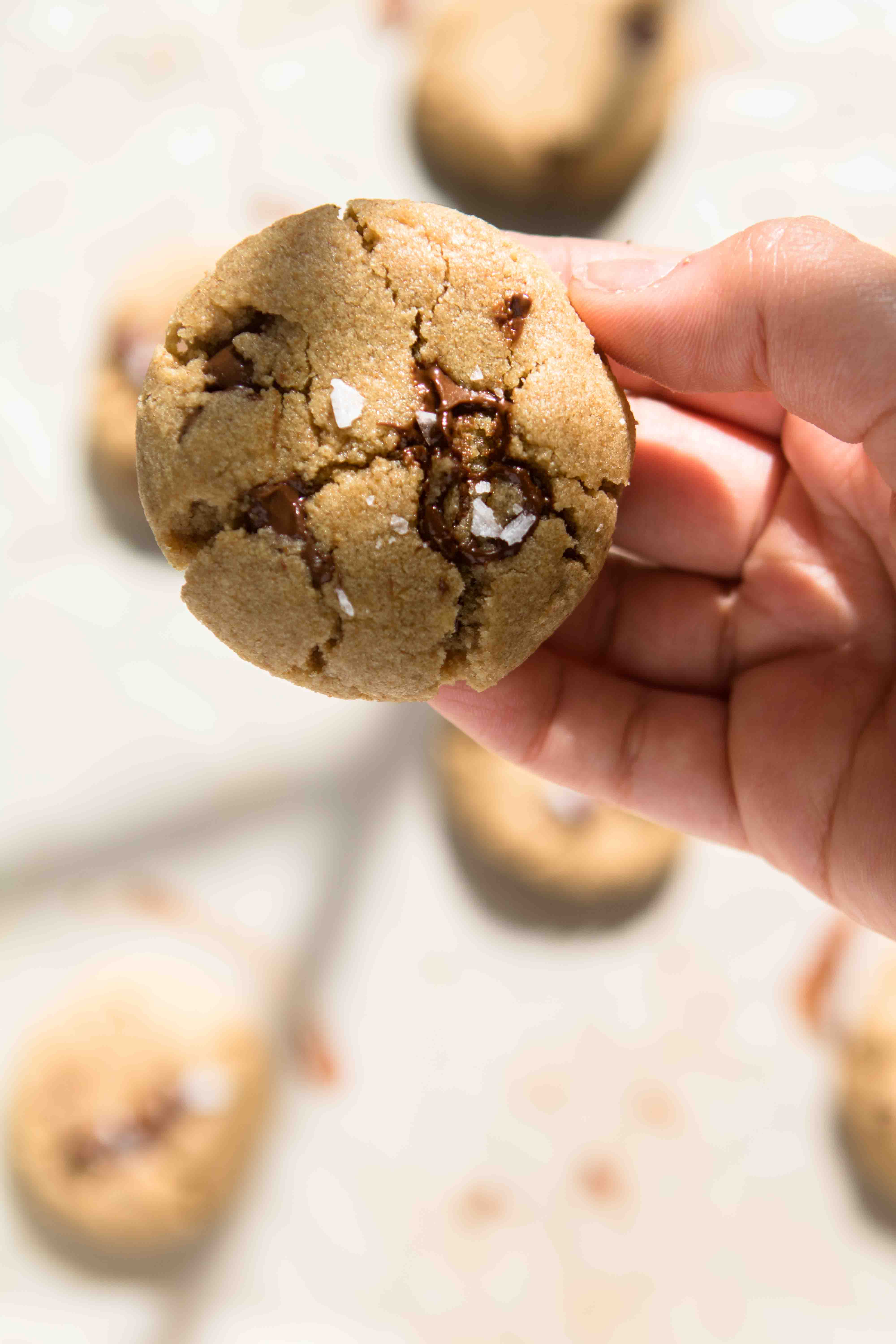The best salted tahini chocolate chip cookie in the world