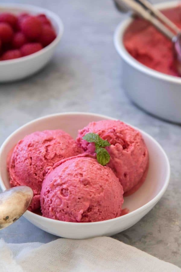 The Easiest 2ingredient Raspberry Sorbet Lifestyle of a Foodie