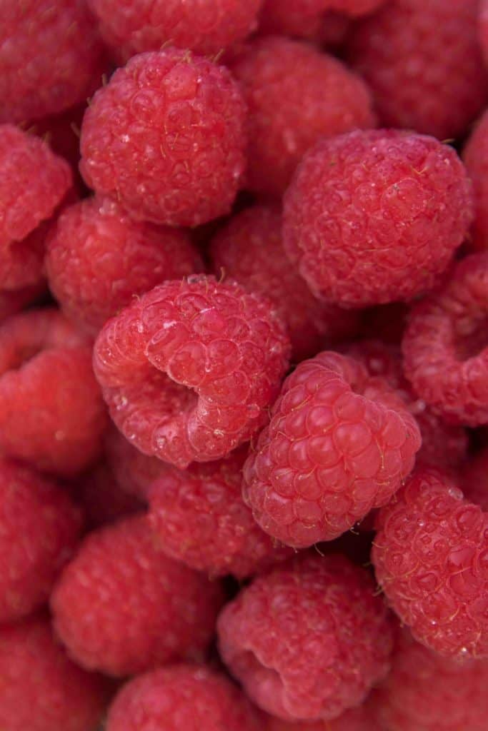 Raspberry photography close up shot
