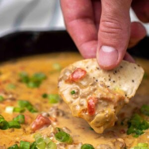 Rotel dip bite with a chip