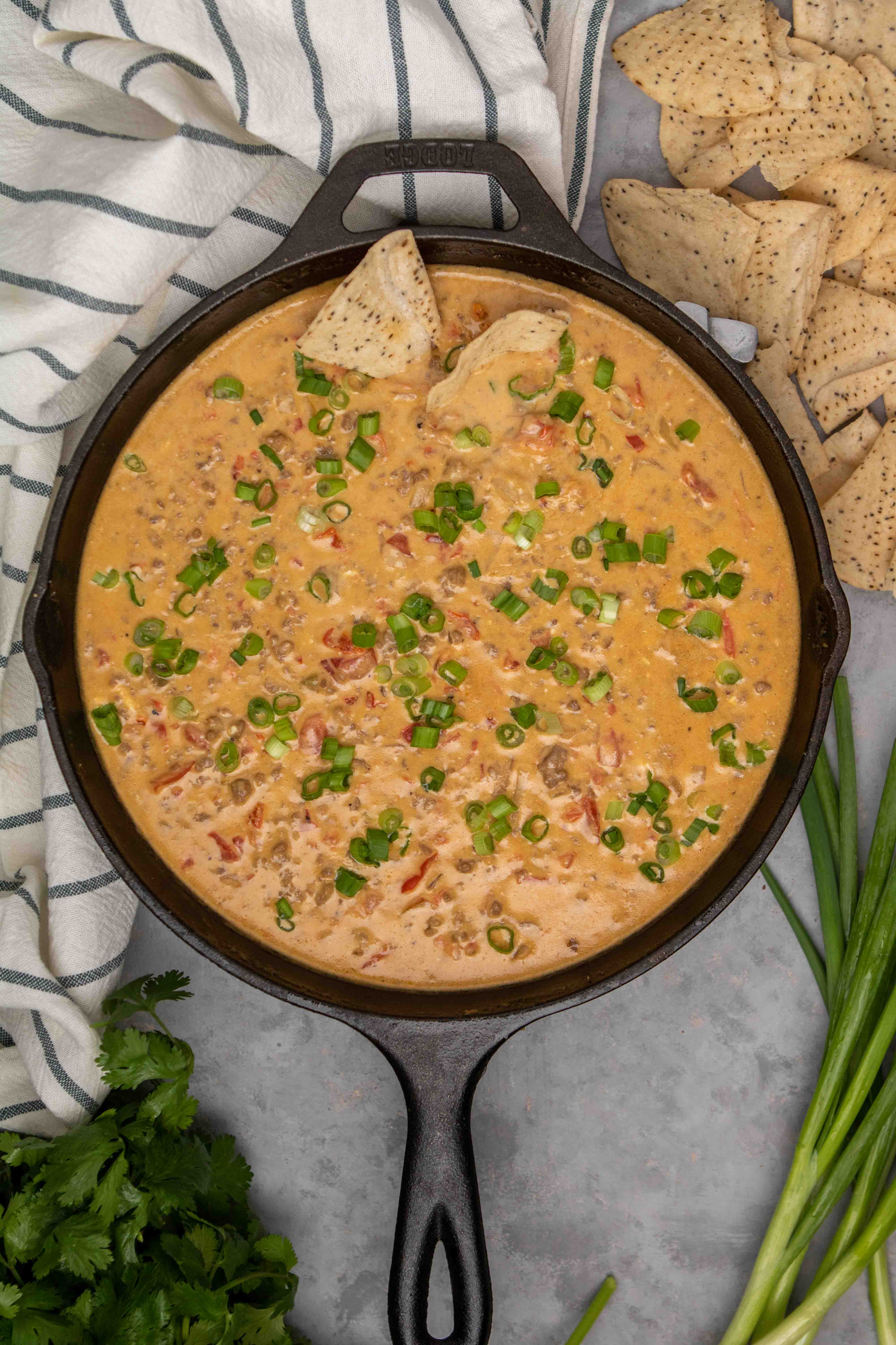 Cheese Rotel Dip Recipe But Better Lifestyle Of A Foodie