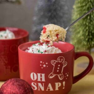 Christmas Cake Mix Mug Cake