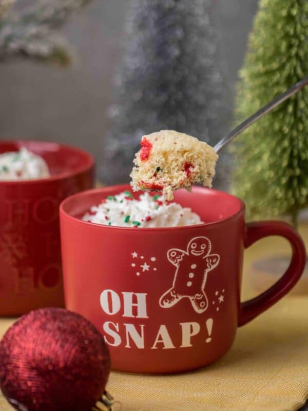 Christmas Cake Mix Mug Cake