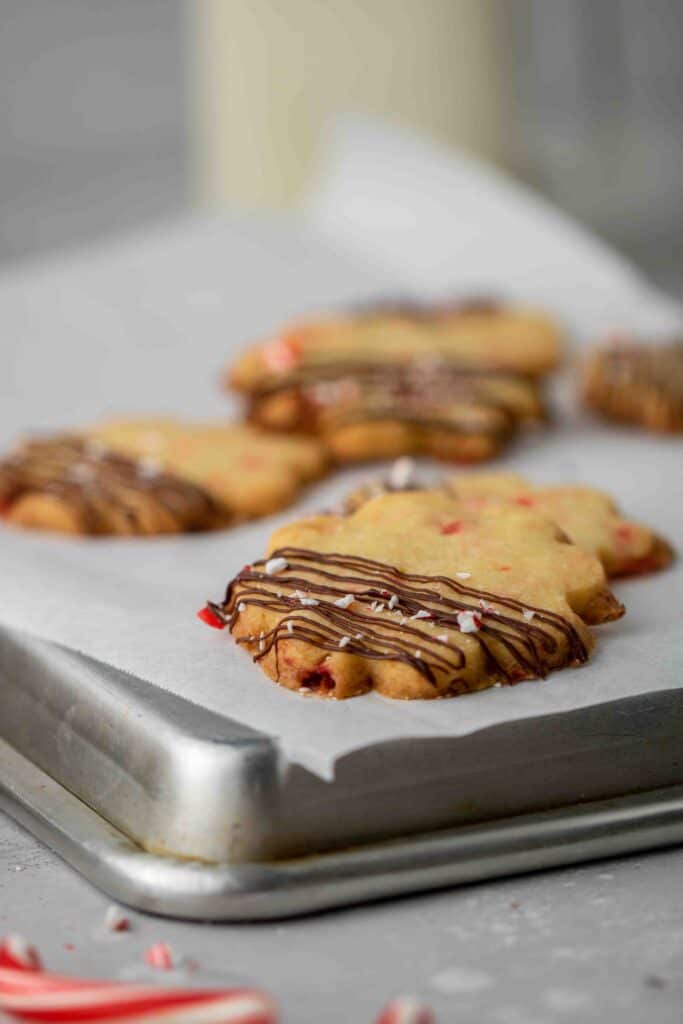 Candy Cane Peppermint Shortbread Cutout Cookies with chocolate drizzle