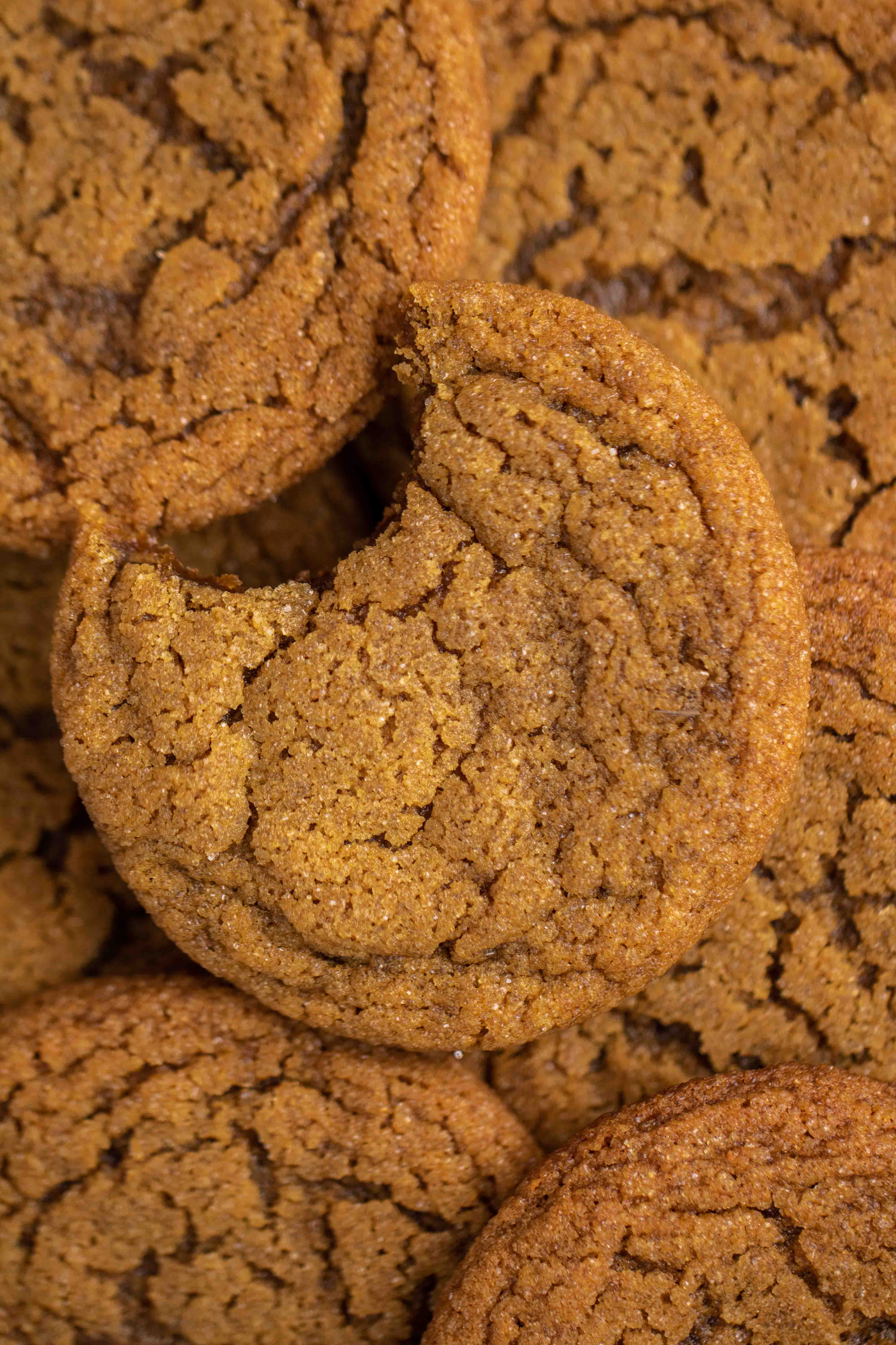 Seriously Soft Molasses Cookies (Just 20 minutes!) • Zona Cooks