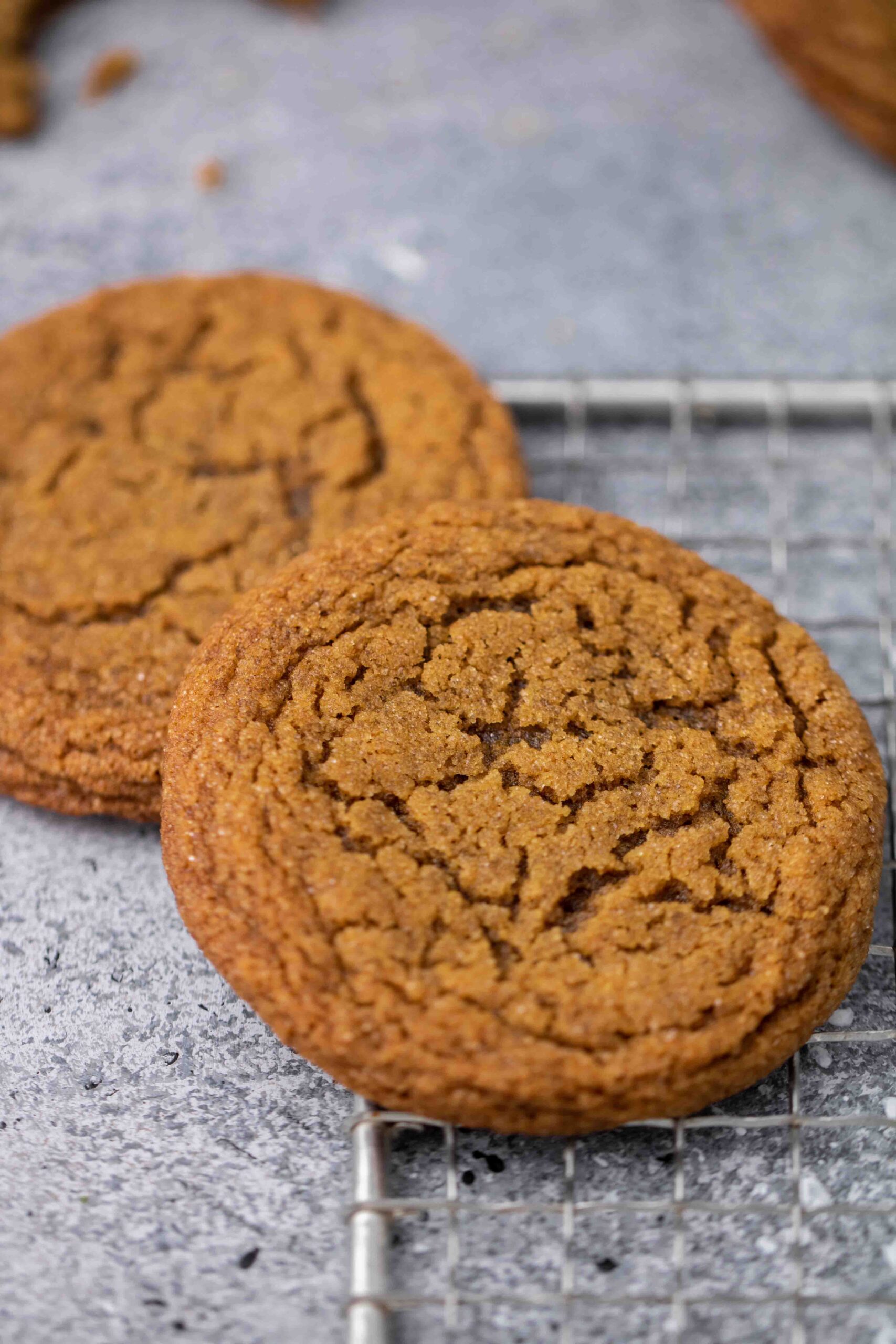 The best Soft and Chewy Ginger molasses cookies  Lifestyle of a Foodie