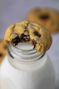 Close up of chocolate chip cookie on a milk bottle