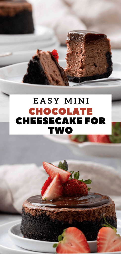 4 inch chocolate cheesecake mini recipe