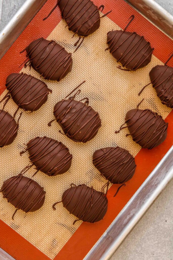 Drizzled chocolate on peanut butter bites
