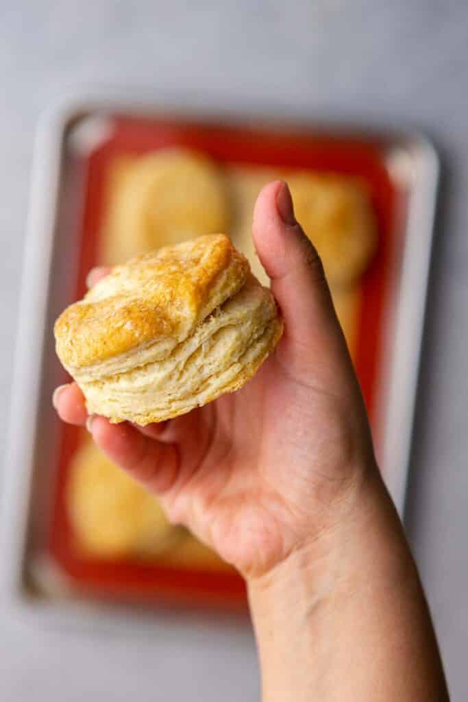 Hand holding flaky biscuit