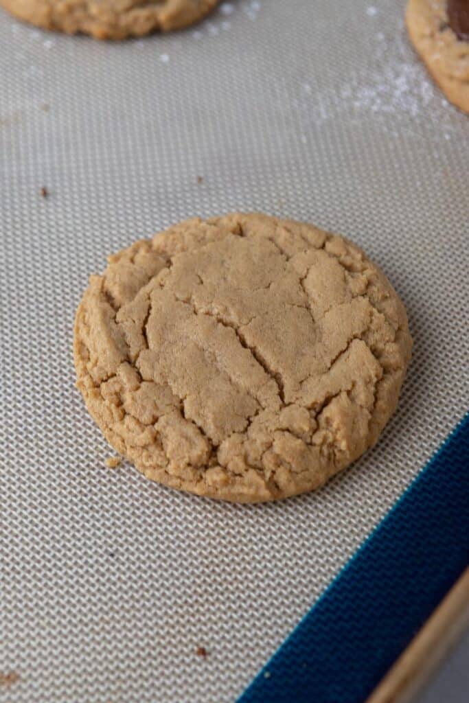 Baked peanut butter cookie