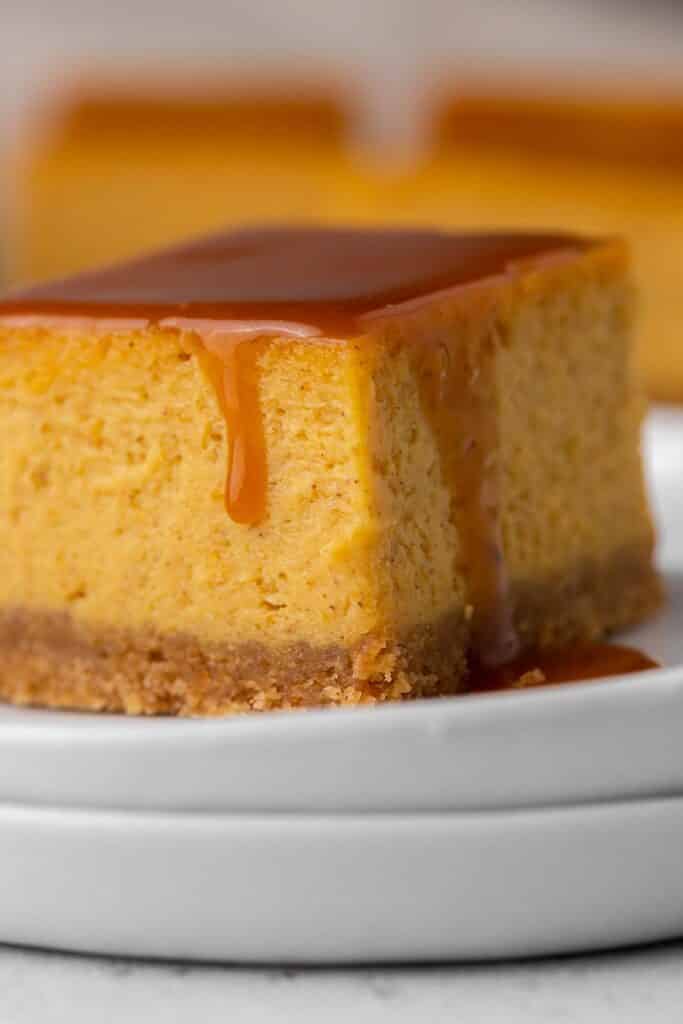 Pumpkin cheesecake bar close up