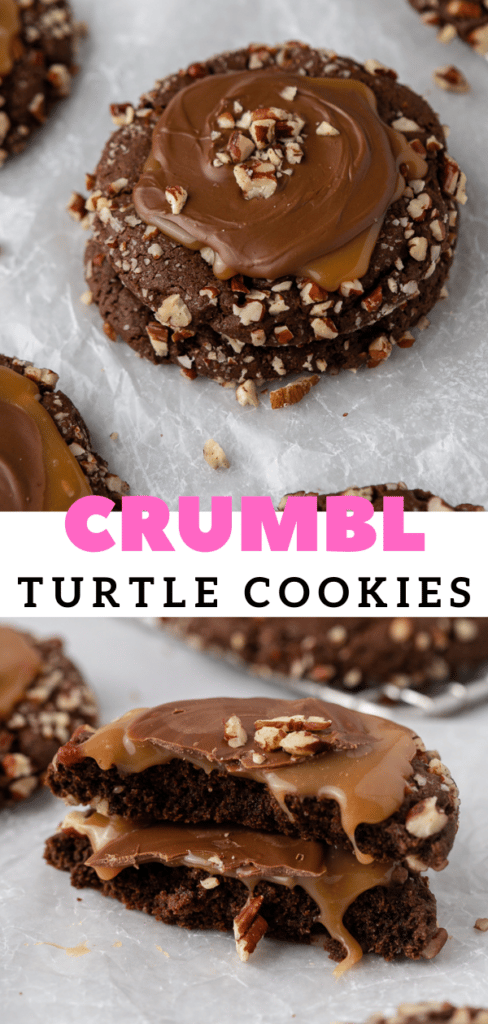 Turtle cookie recipe