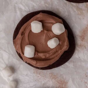 Overhead frozen hot chocolate cookies