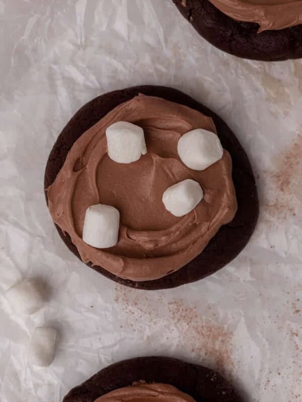 Overhead frozen hot chocolate cookies