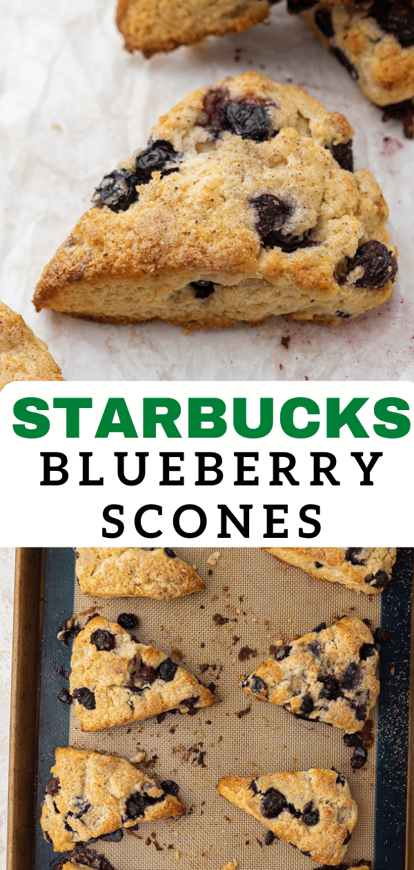 Starbucks blueberry scones