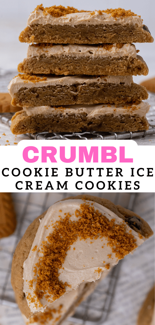 Crumbl cookie butter ice cream cookies