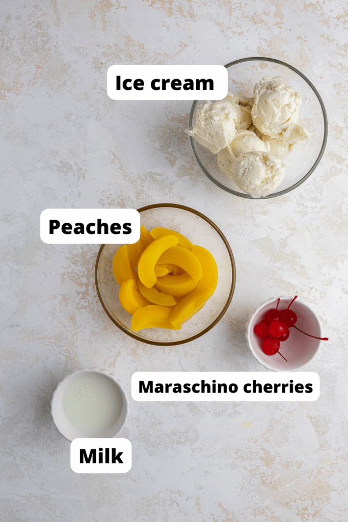 ingredients for milkshake 