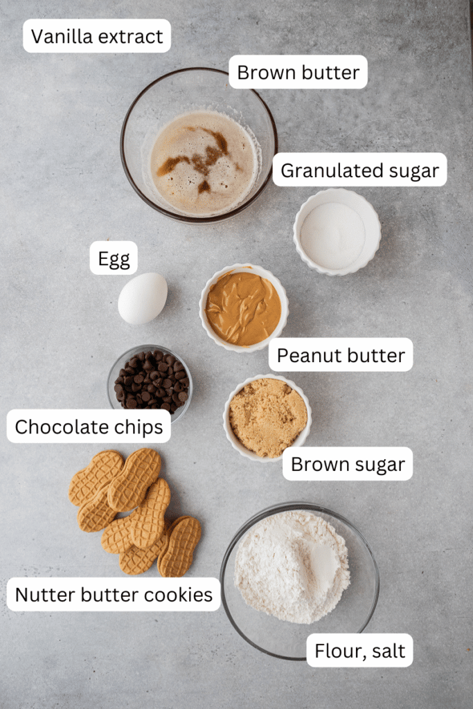 Ingredients on countertop 