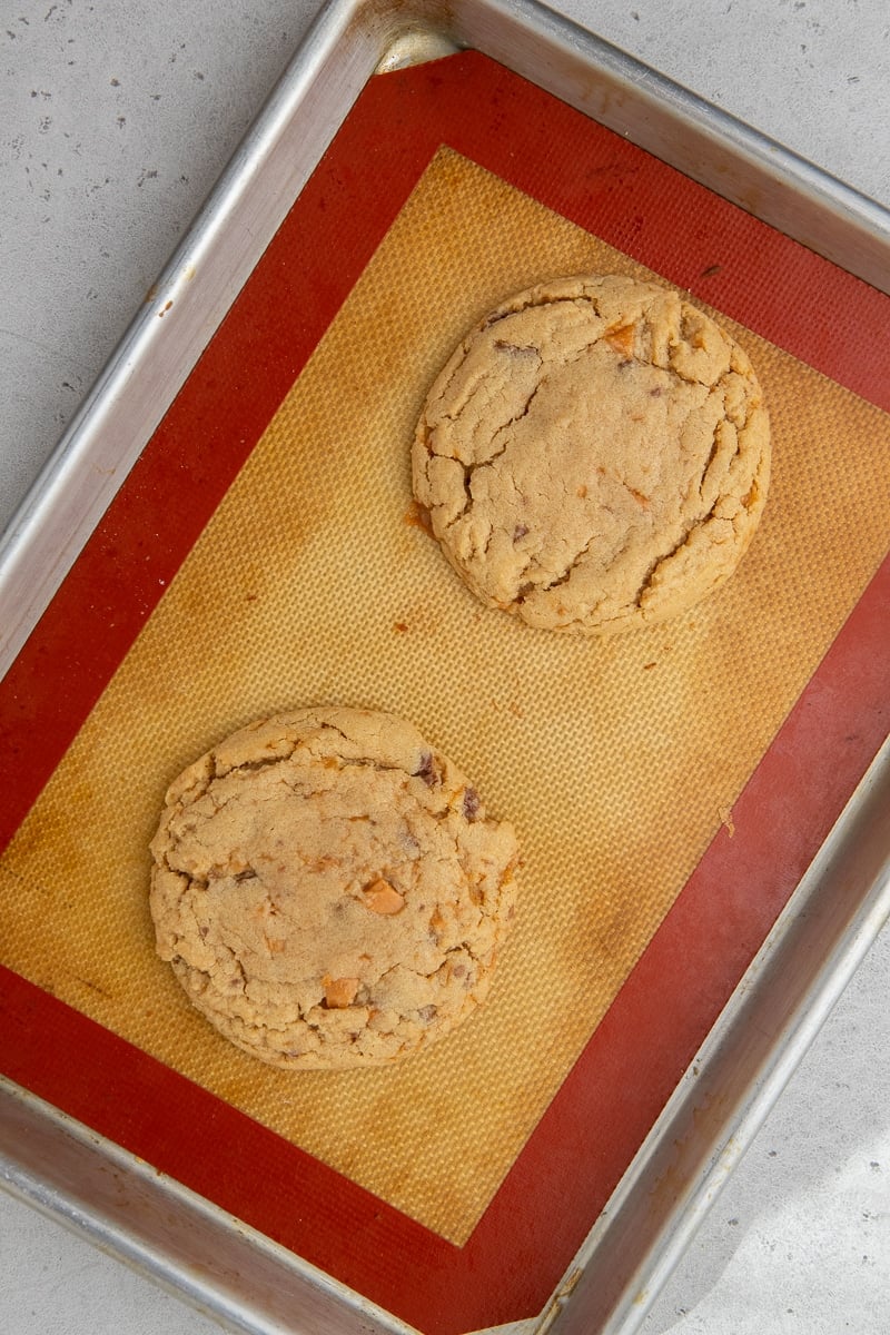 Baked cookies on baking sheet
