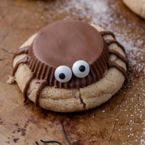 Spooky spider cookie