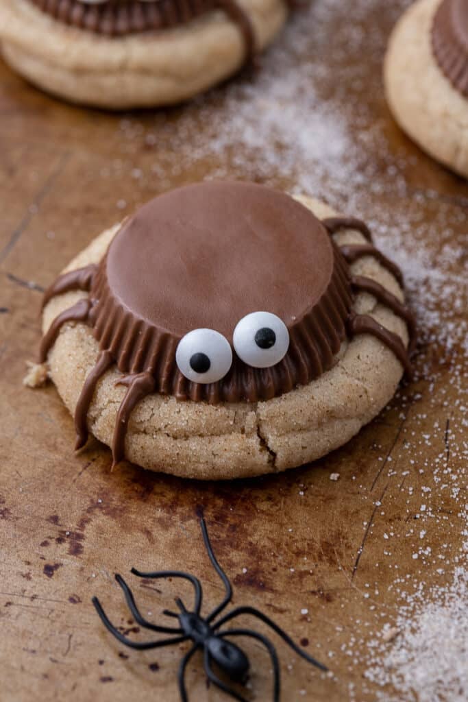 Spooky spider cookie