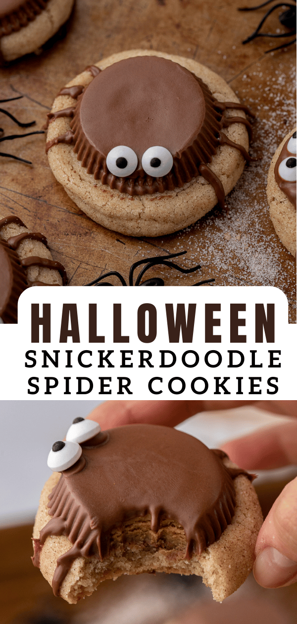 Snickerdoodle Halloween spider cookies 