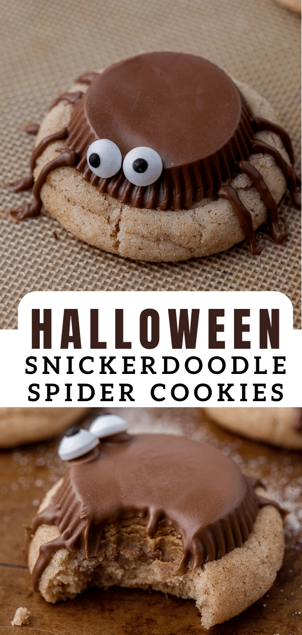 Snickerdoodle Halloween spider cookies 