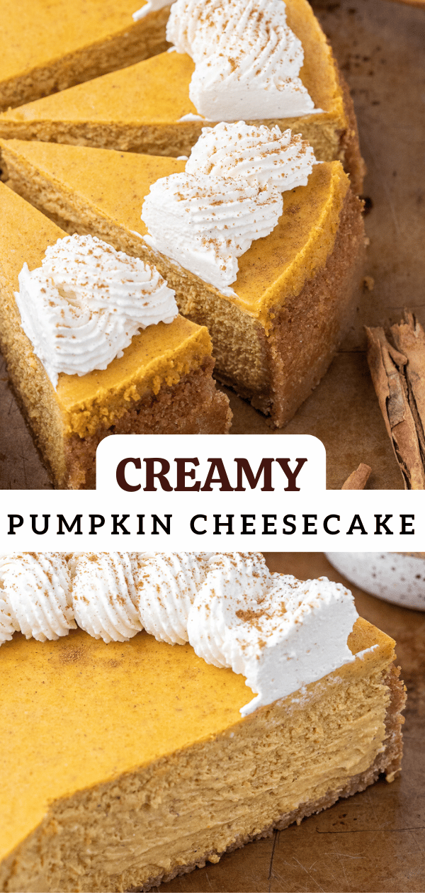 Creamy pumpkin cheesecake 