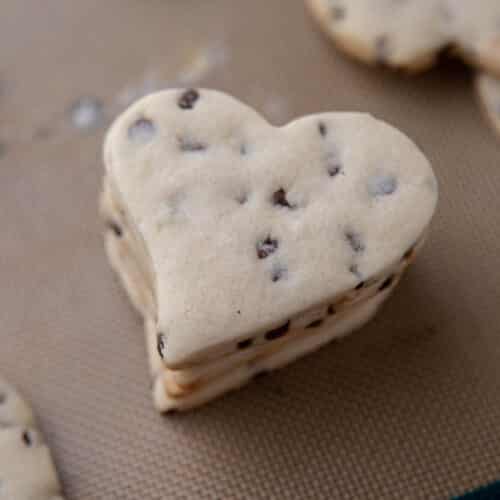 Chocolate chip cut out cookies