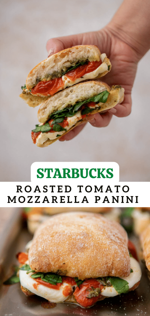 Starbucks roasted tomato mozzarella panini