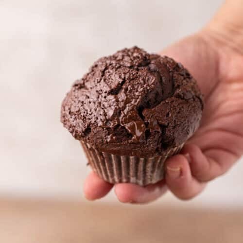 Hand holding Double chocolate muffins