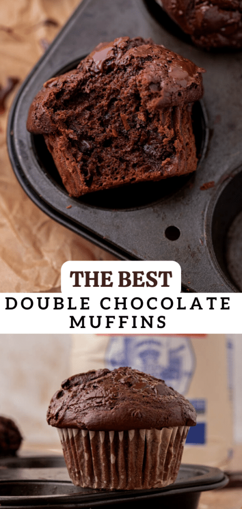 Double chocolate muffins 