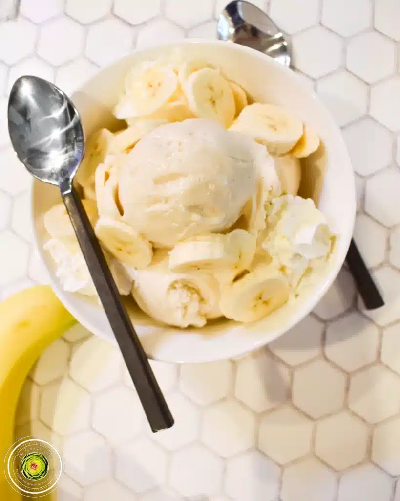 Ninja creami banana ice cream