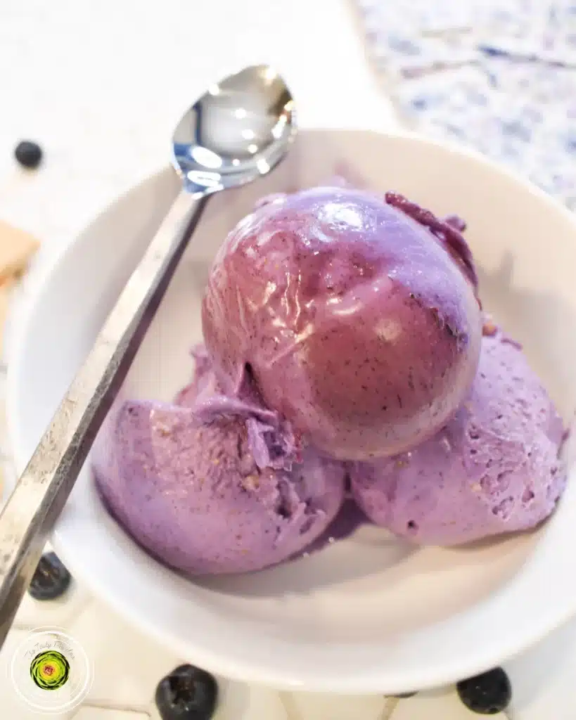 Blueberry ninja creami ice cream