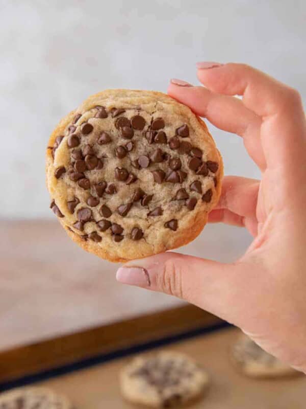 Hand holding chocolate chip sugar cookie