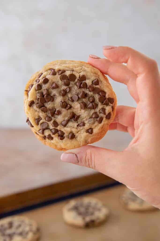 Chewy Chocolate Sugar Cookies